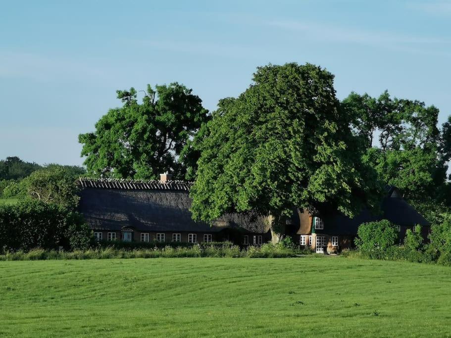 Ferienwohnung Hof Osterfeld Mittelangeln Exterior foto