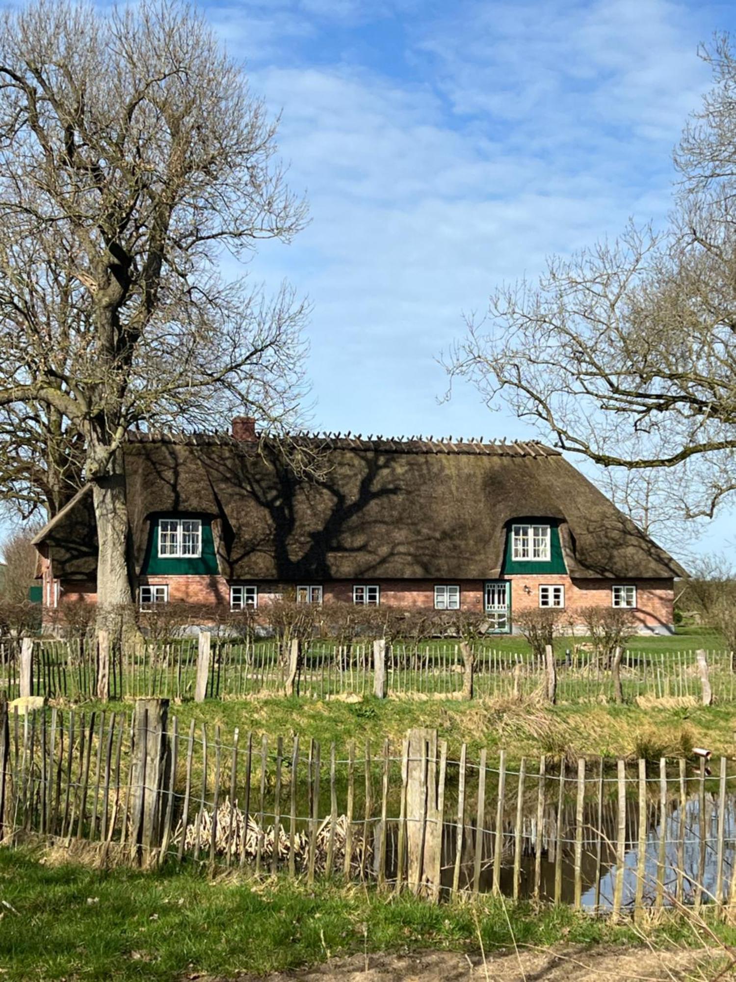 Ferienwohnung Hof Osterfeld Mittelangeln Exterior foto